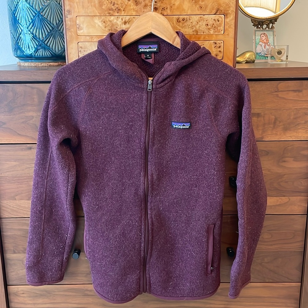Patagonia Better Sweater Hoodie